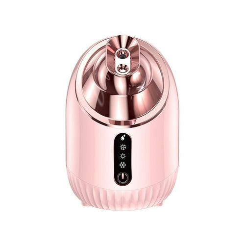 Nano Face Steamer for Home Spa /  Double Spray Moisturizing Instrument